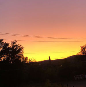 Meet your Posher, Ann